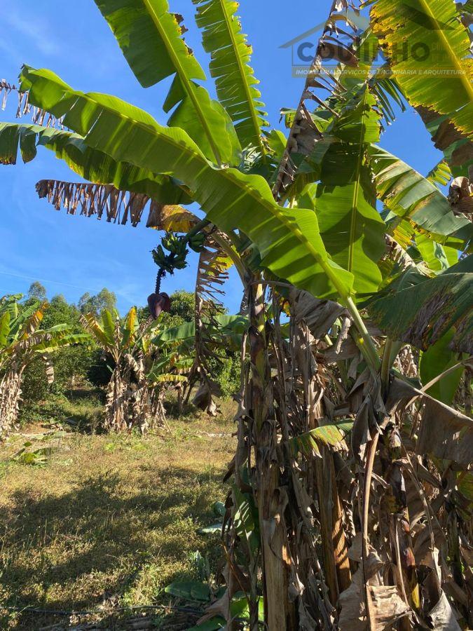 WhatsApp Image 2025-06-16 at 10.57.37 (2).jpeg